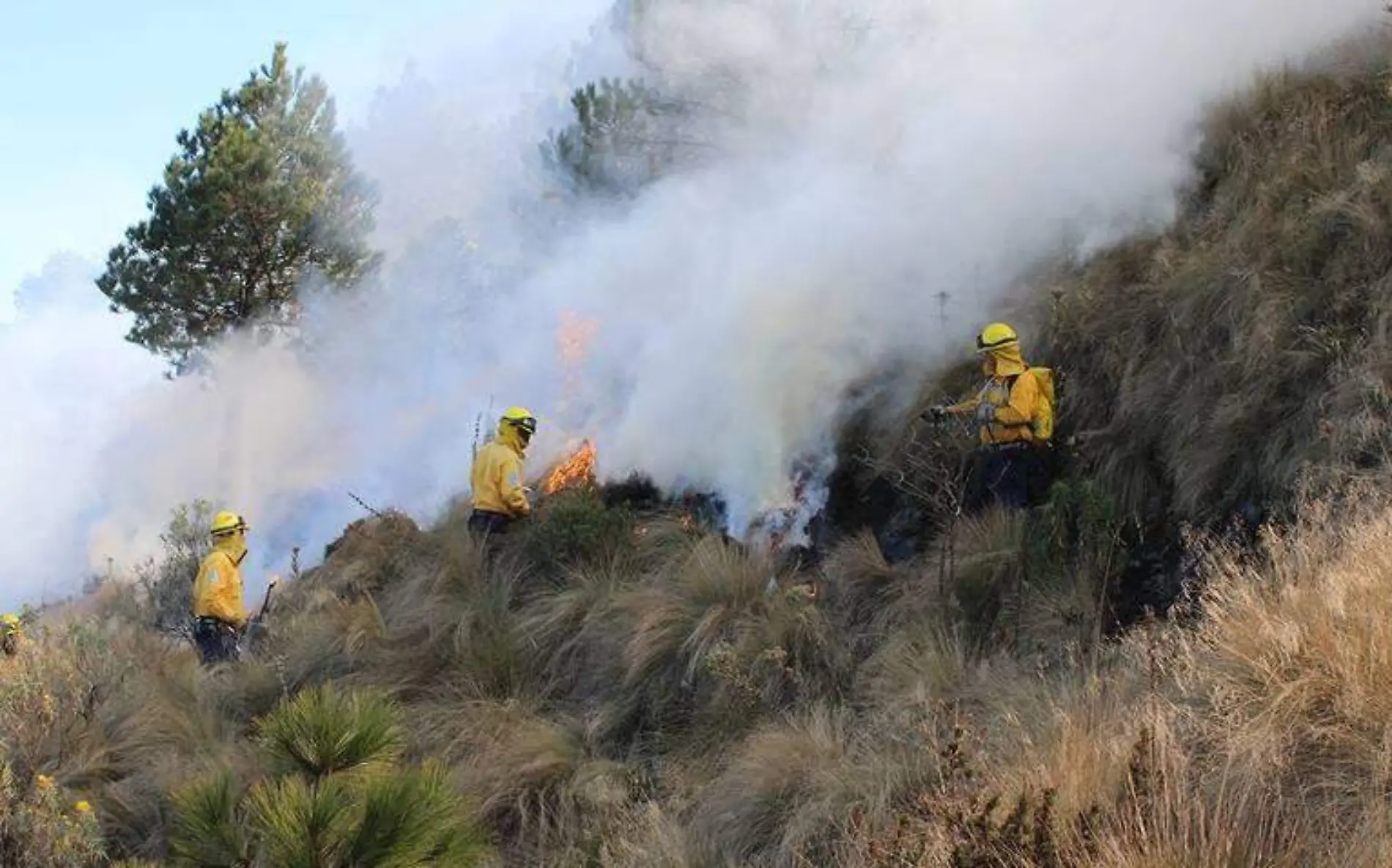 incendios forestales